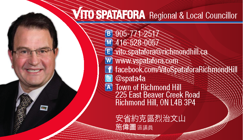 Vito Spatafora, Regional & Local Councillor